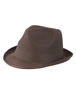 582 Chocolate Шапка Promo Hat