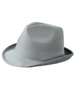 582 Zinc Шапка Promo Hat